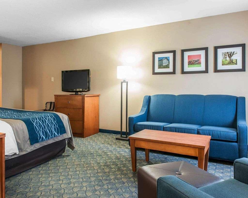 Comfort Inn & Suites Napoleon Kamer foto