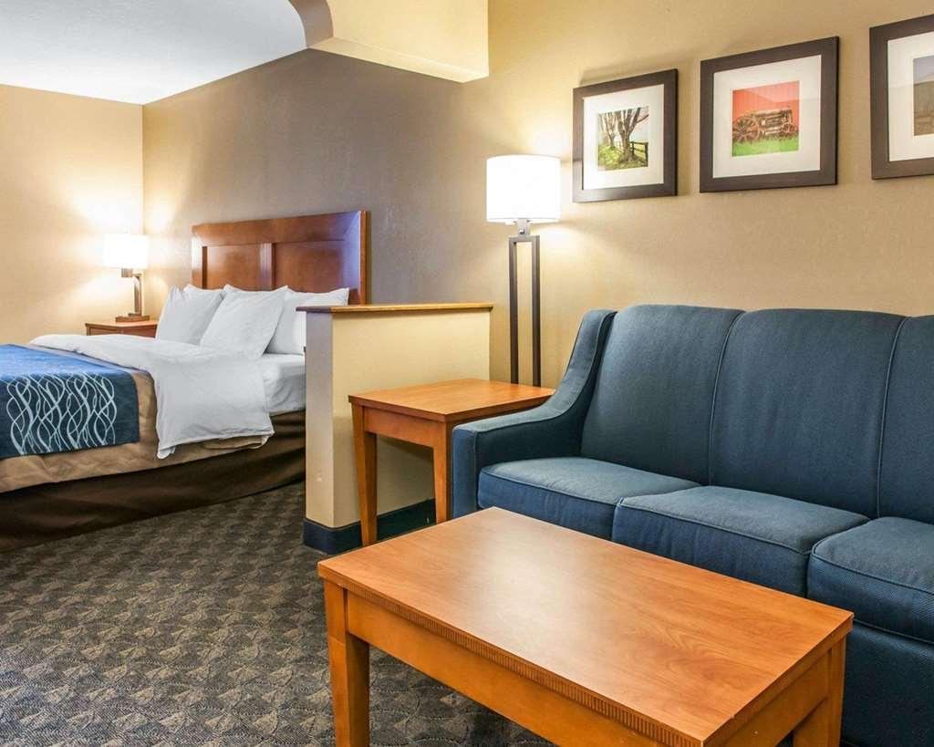 Comfort Inn & Suites Napoleon Kamer foto